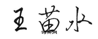 骆恒光王苗水行书个性签名怎么写