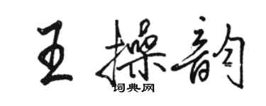 骆恒光王操韵行书个性签名怎么写