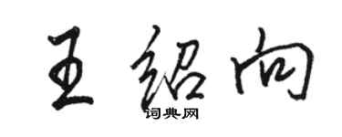 骆恒光王绍向行书个性签名怎么写