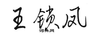 骆恒光王锁凤行书个性签名怎么写