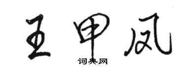 骆恒光王甲凤行书个性签名怎么写