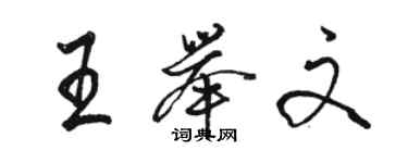 骆恒光王举文行书个性签名怎么写