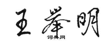 骆恒光王举明行书个性签名怎么写