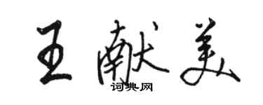 骆恒光王献美行书个性签名怎么写