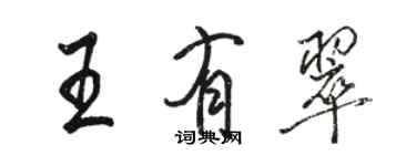 骆恒光王有翠行书个性签名怎么写