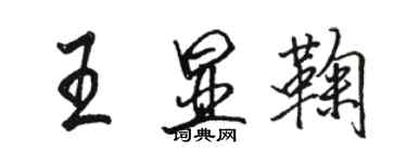 骆恒光王显鞠行书个性签名怎么写
