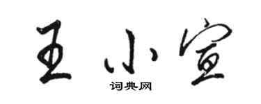 骆恒光王小宣行书个性签名怎么写