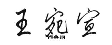 骆恒光王宛宣行书个性签名怎么写
