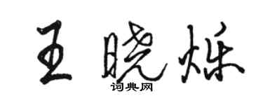 骆恒光王晓烁行书个性签名怎么写