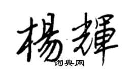 王正良杨辉行书个性签名怎么写