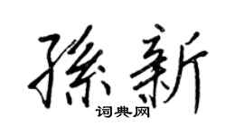 王正良孙新行书个性签名怎么写