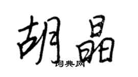 王正良胡晶行书个性签名怎么写