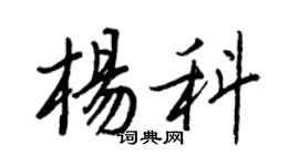 王正良杨科行书个性签名怎么写