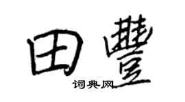 王正良田丰行书个性签名怎么写
