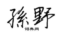 王正良孙野行书个性签名怎么写