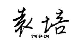 王正良袁培行书个性签名怎么写