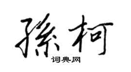王正良孙柯行书个性签名怎么写