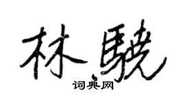 王正良林骁行书个性签名怎么写