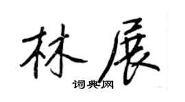 王正良林展行书个性签名怎么写