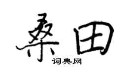 王正良桑田行书个性签名怎么写