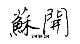 王正良苏开行书个性签名怎么写