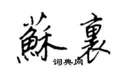 王正良苏里行书个性签名怎么写