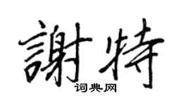 王正良谢特行书个性签名怎么写