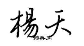 王正良杨夭行书个性签名怎么写