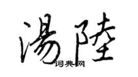 王正良汤陆行书个性签名怎么写