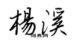 王正良杨溪行书个性签名怎么写