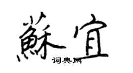 王正良苏宜行书个性签名怎么写