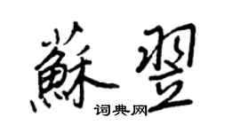 王正良苏翌行书个性签名怎么写