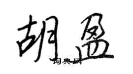 王正良胡盈行书个性签名怎么写