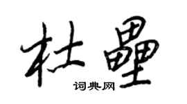 王正良杜垒行书个性签名怎么写