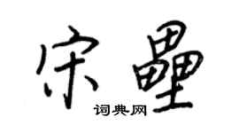 王正良宋垒行书个性签名怎么写