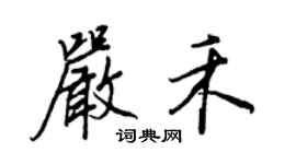 王正良严禾行书个性签名怎么写