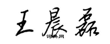 王正良王晨磊行书个性签名怎么写