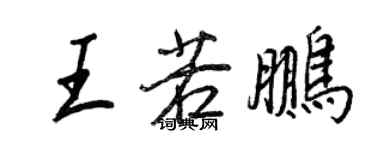 王正良王若鹏行书个性签名怎么写
