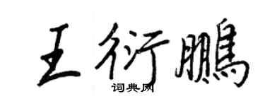 王正良王衍鹏行书个性签名怎么写