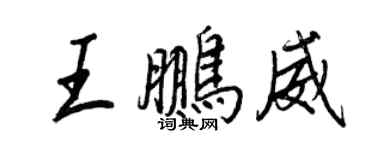 王正良王鹏威行书个性签名怎么写