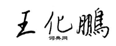 王正良王化鹏行书个性签名怎么写