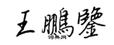 王正良王鹏鉴行书个性签名怎么写