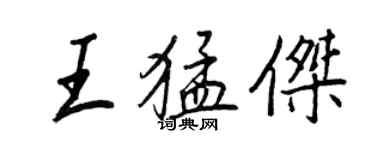 王正良王猛杰行书个性签名怎么写