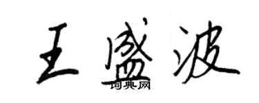 王正良王盛波行书个性签名怎么写