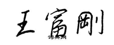 王正良王富刚行书个性签名怎么写