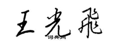 王正良王光飞行书个性签名怎么写