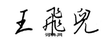 王正良王飞儿行书个性签名怎么写