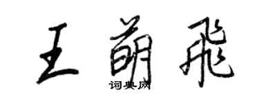 王正良王萌飞行书个性签名怎么写
