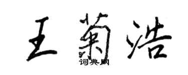 王正良王菊浩行书个性签名怎么写