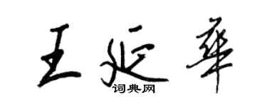 王正良王延华行书个性签名怎么写